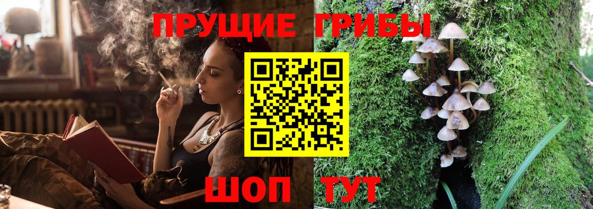 Богородицк  Псилоцибиновые грибы мицелий  Вход с VPN  Галлюциногенные грибы прущие грибы 