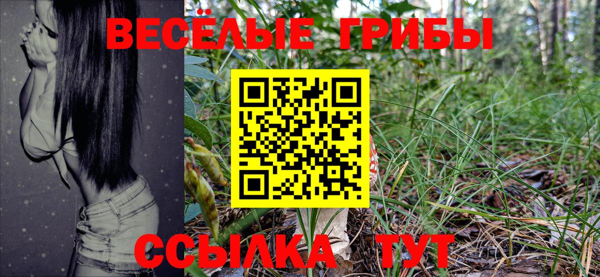 Псилоцибиновые грибы Cubensis Богородицк